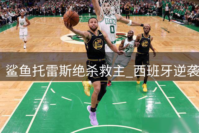 鲨鱼托雷斯绝杀救主 西班牙逆袭捧杯背后的救赎之路